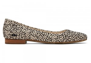 Dámské Boty pro Ploché Nohy Toms Briella Mini Cheetah Print Leopard | 0145CEROV