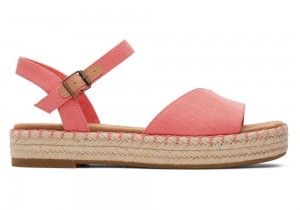 Dámské Espadrilky Toms Abby Flatform Růžové | 5492TYMGZ