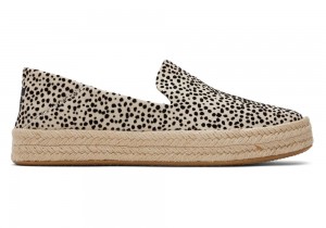 Dámské Espadrilky Toms Carolina Mini Cheetah Leopard | 4570DSRPJ