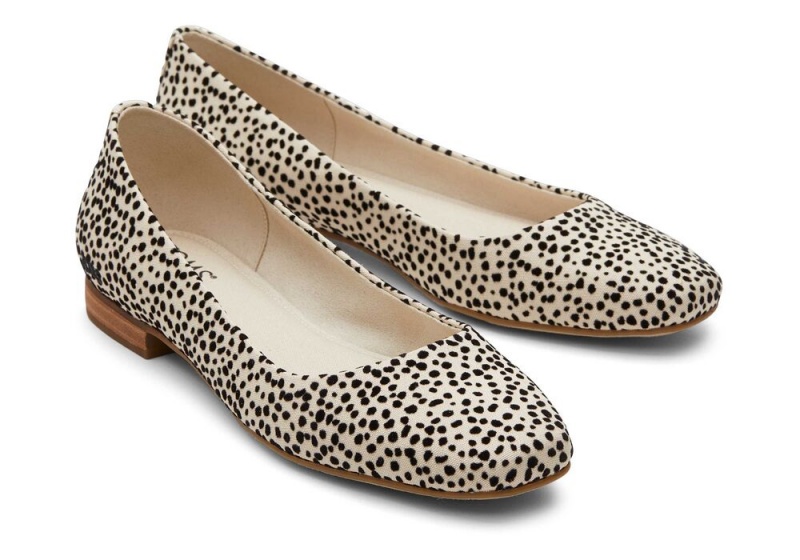 Dámské Boty pro Ploché Nohy Toms Briella Mini Cheetah Print Leopard | 0145CEROV