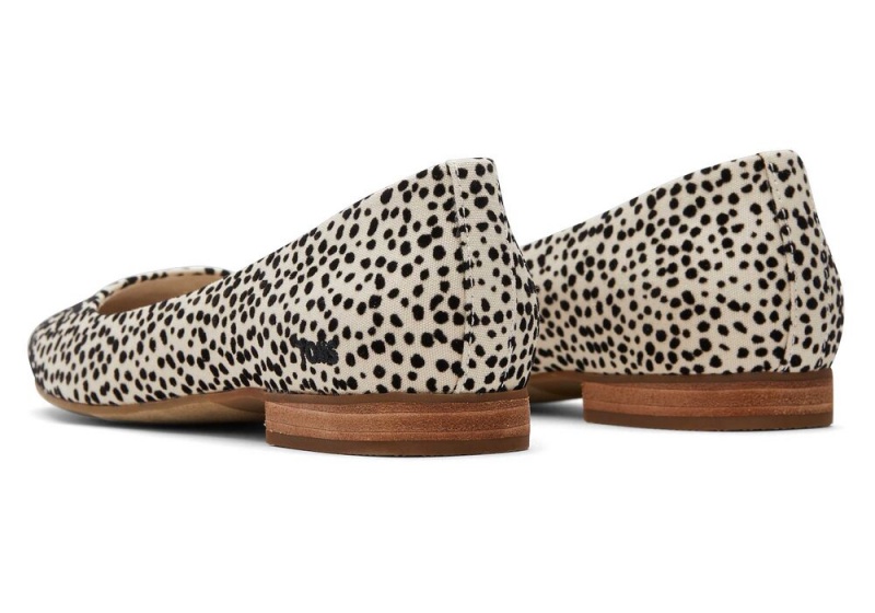 Dámské Boty pro Ploché Nohy Toms Briella Mini Cheetah Print Leopard | 0145CEROV