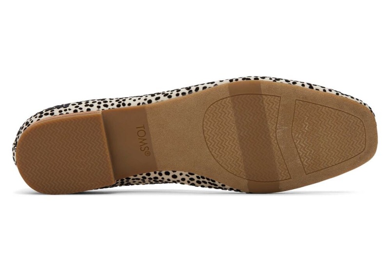 Dámské Boty pro Ploché Nohy Toms Briella Mini Cheetah Print Leopard | 0145CEROV