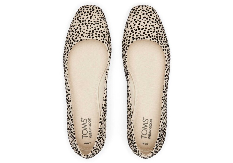 Dámské Boty pro Ploché Nohy Toms Briella Mini Cheetah Print Leopard | 0145CEROV