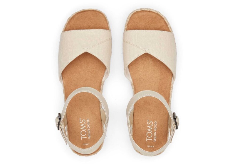 Dámské Espadrilky Toms Abby Flatform Béžový | 3612GOBVN