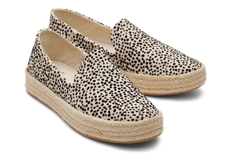 Dámské Espadrilky Toms Carolina Mini Cheetah Leopard | 4570DSRPJ