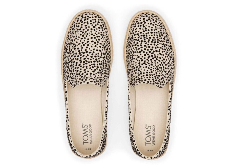 Dámské Espadrilky Toms Carolina Mini Cheetah Leopard | 4570DSRPJ