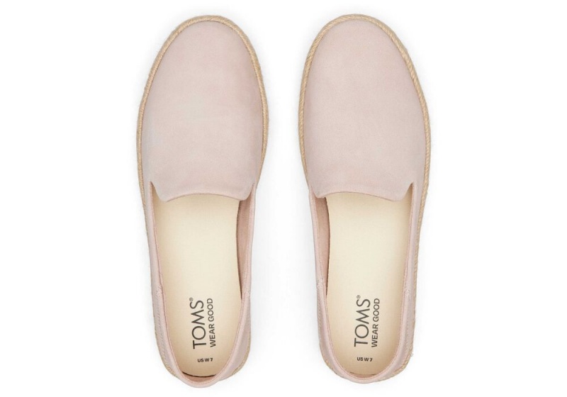 Dámské Espadrilky Toms Carolina Semišové Růžové | 1426SGQZT