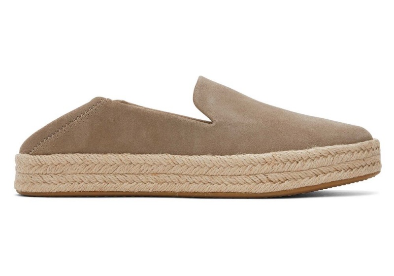 Dámské Espadrilky Toms Carolina Taupe Semišové Stříbrné | 1362KREDM