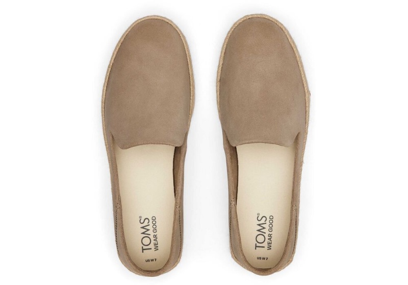 Dámské Espadrilky Toms Carolina Taupe Semišové Stříbrné | 1362KREDM