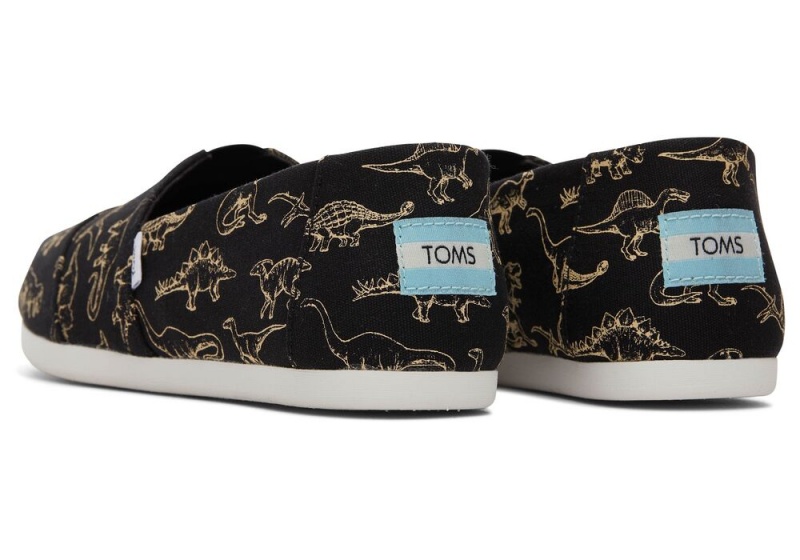 Dámské Espadrilky Toms Dino Černé | 9638OBFWU