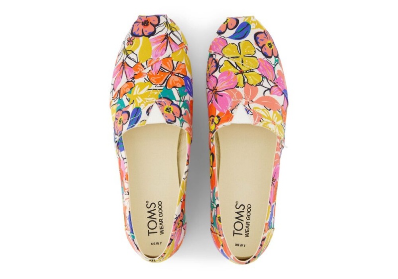 Dámské Espadrilky Toms Painted Floral Viacfarebný | 1920XRDOJ