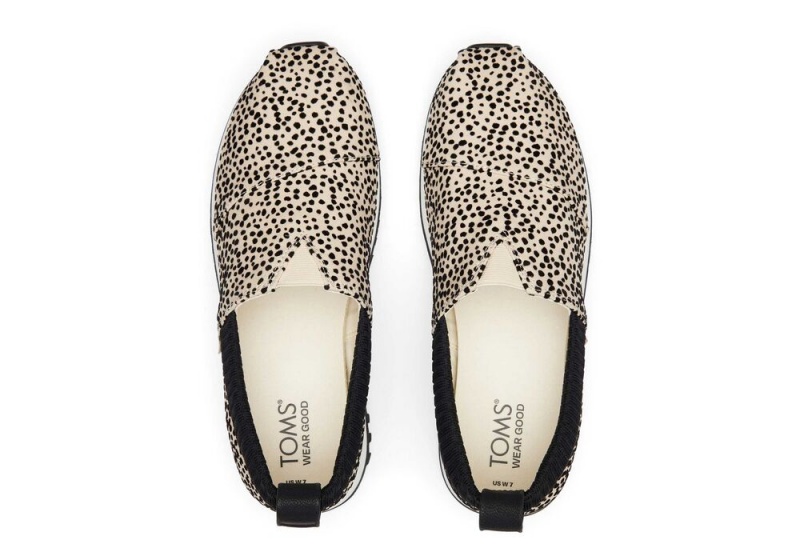 Dámské Tenisky Toms Resident 2.0 Mini Cheetah Leopard | 8413MPBSD