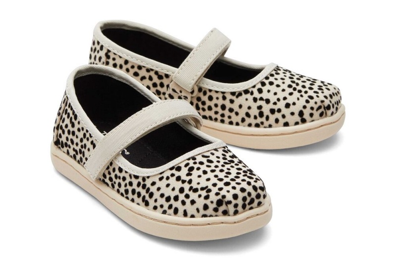 Dětské Slip On Tenisky Toms Mary Jane Mini Cheetah Print Toddler Shoe Leopard | 3029NBYSR