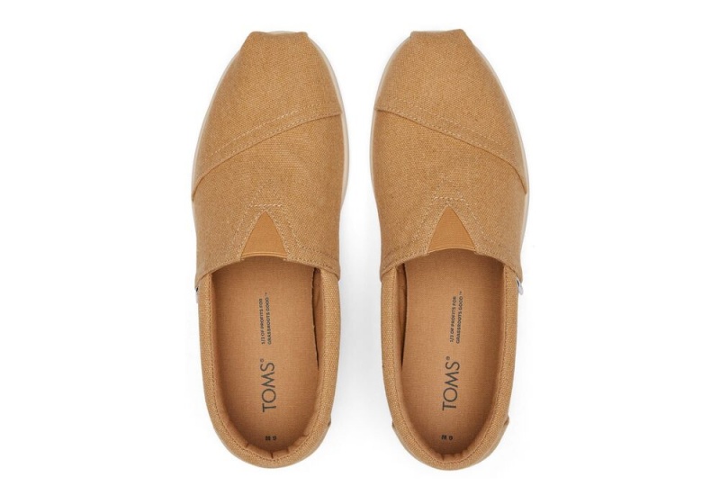 Pánské Espadrilky Toms Alp Fwd Doe Recycled Bavlněné Platene Hnědé | 0564XOKVE