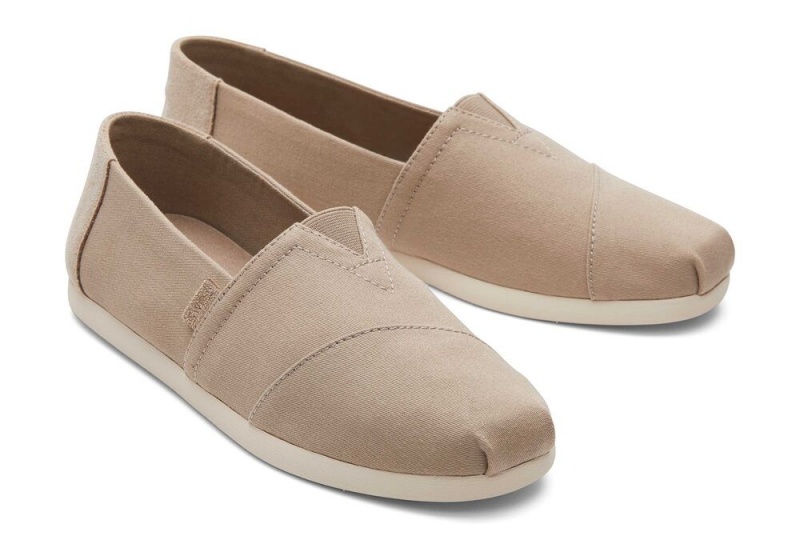 Pánské Espadrilky Toms Taupe Semišové Brushed Twill Tmavě Šedé | 7540DYXVR